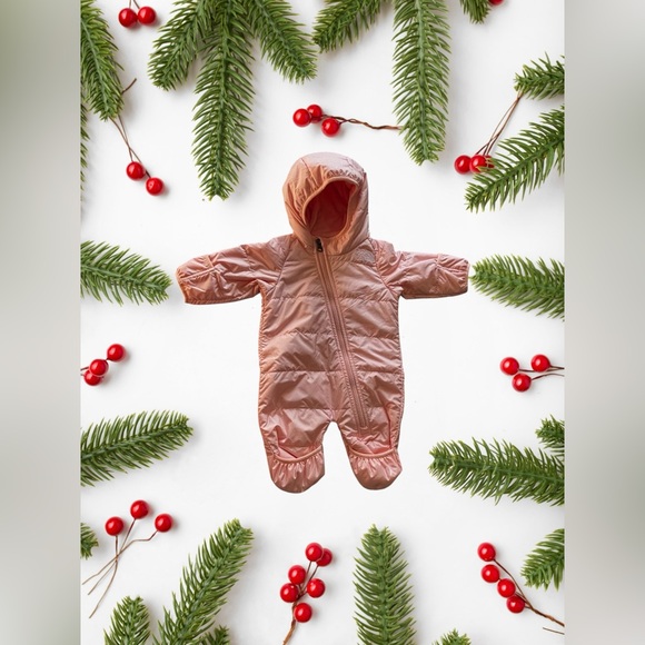 The North Face Infant Kid's Cozy Bunting-RTO One Piece Pink Salt NWOT  0-3 month - Picture 3 of 10